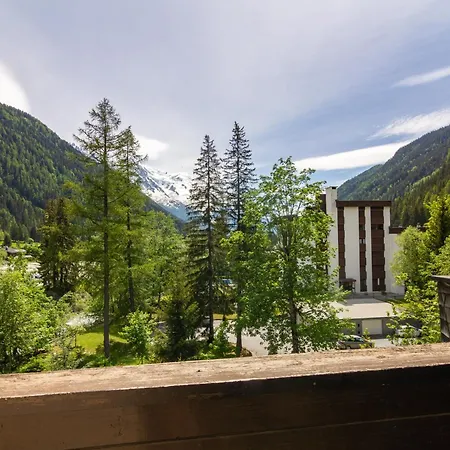 Grand Roc - Ancolies 211 - Happy *