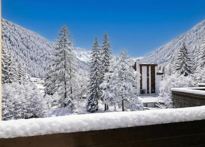 Grand Roc - Ancolies 211 - Happy *